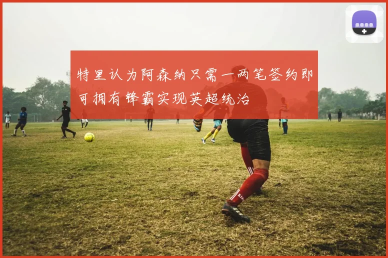 特里认为阿森纳只需一两笔签约即可拥有锋霸实现英超统治