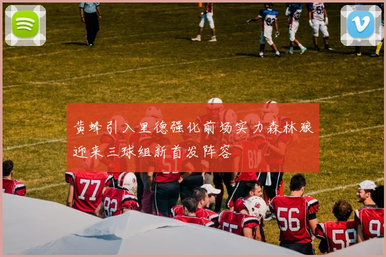 黄蜂引入里德强化前场实力森林狼迎来三球组新首发阵容